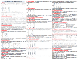 Matrices y determinantes
