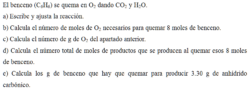 EJERCICIO 13