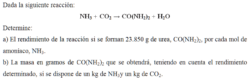 EJERCICIO 11