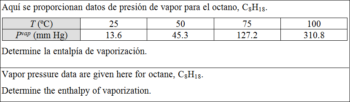 EJERCICIO 19